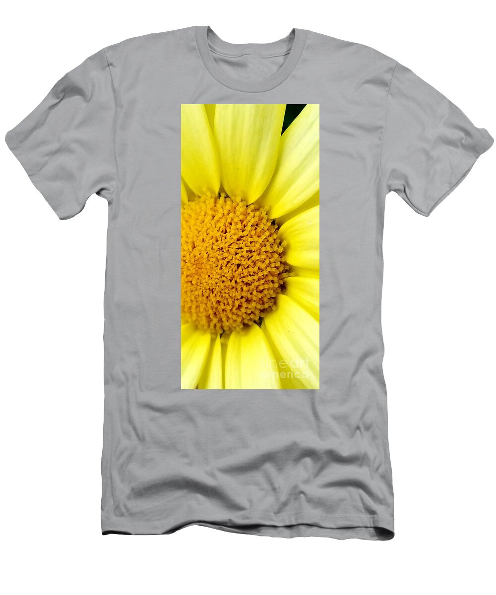 Yellow Daisy Michael Graham T-Shirt