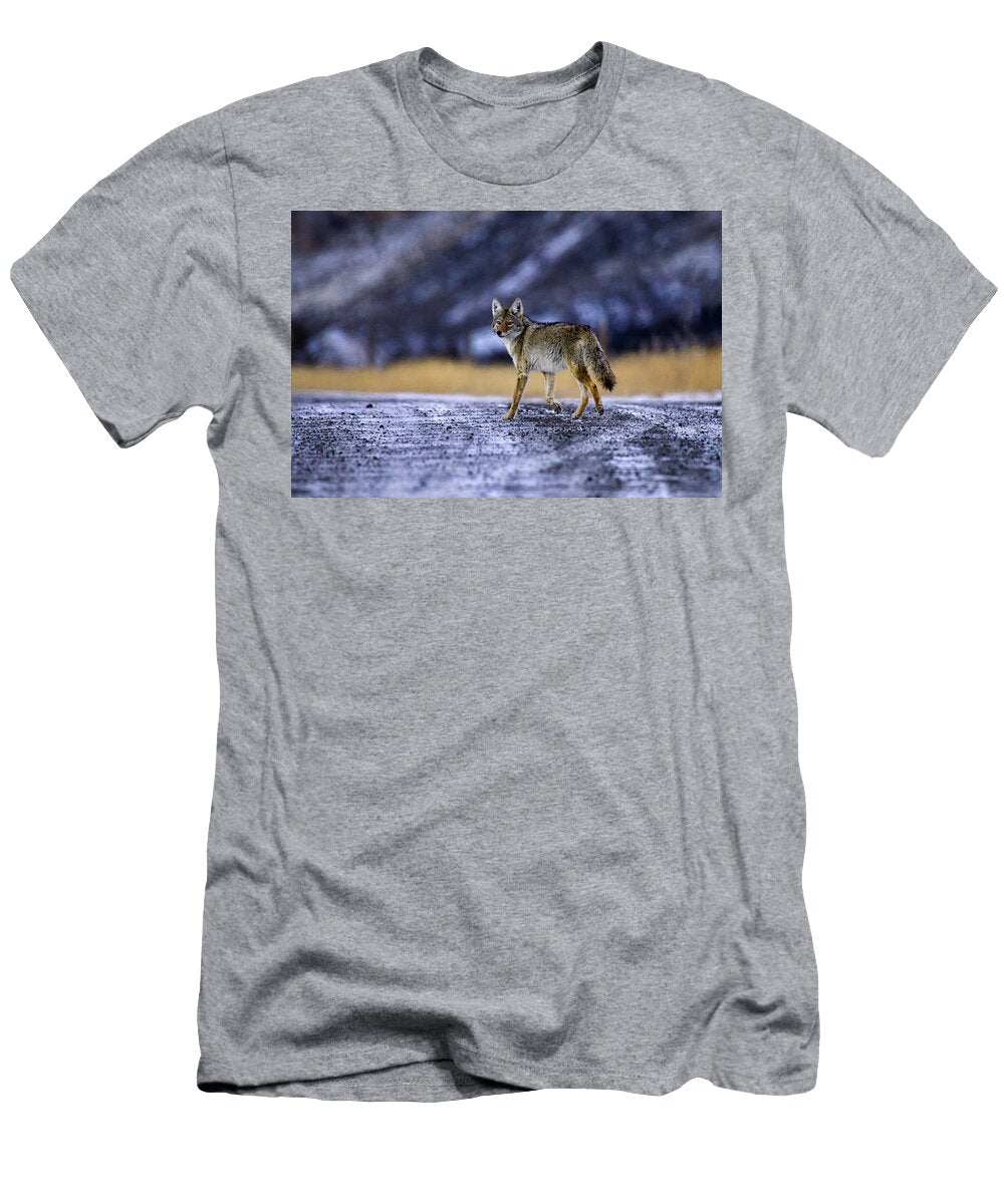 Yellowstone Coyote At Dusk Isabella Smedley T-Shirt