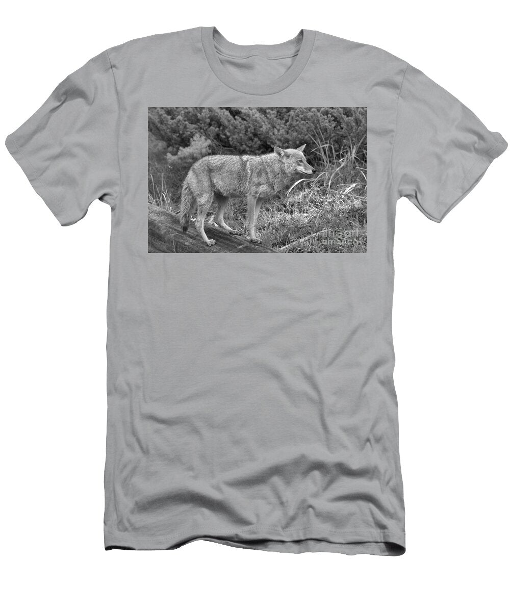 Yellowstone Coyote Black and White Adam Jewell T-Shirt