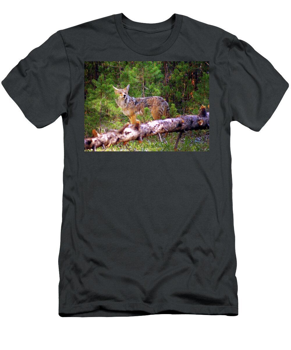Yellowstone Coyote Marty Koch T-Shirt