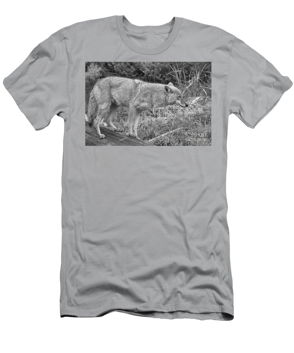 Yellowstone Coyote Scout Black and White Adam Jewell T-Shirt