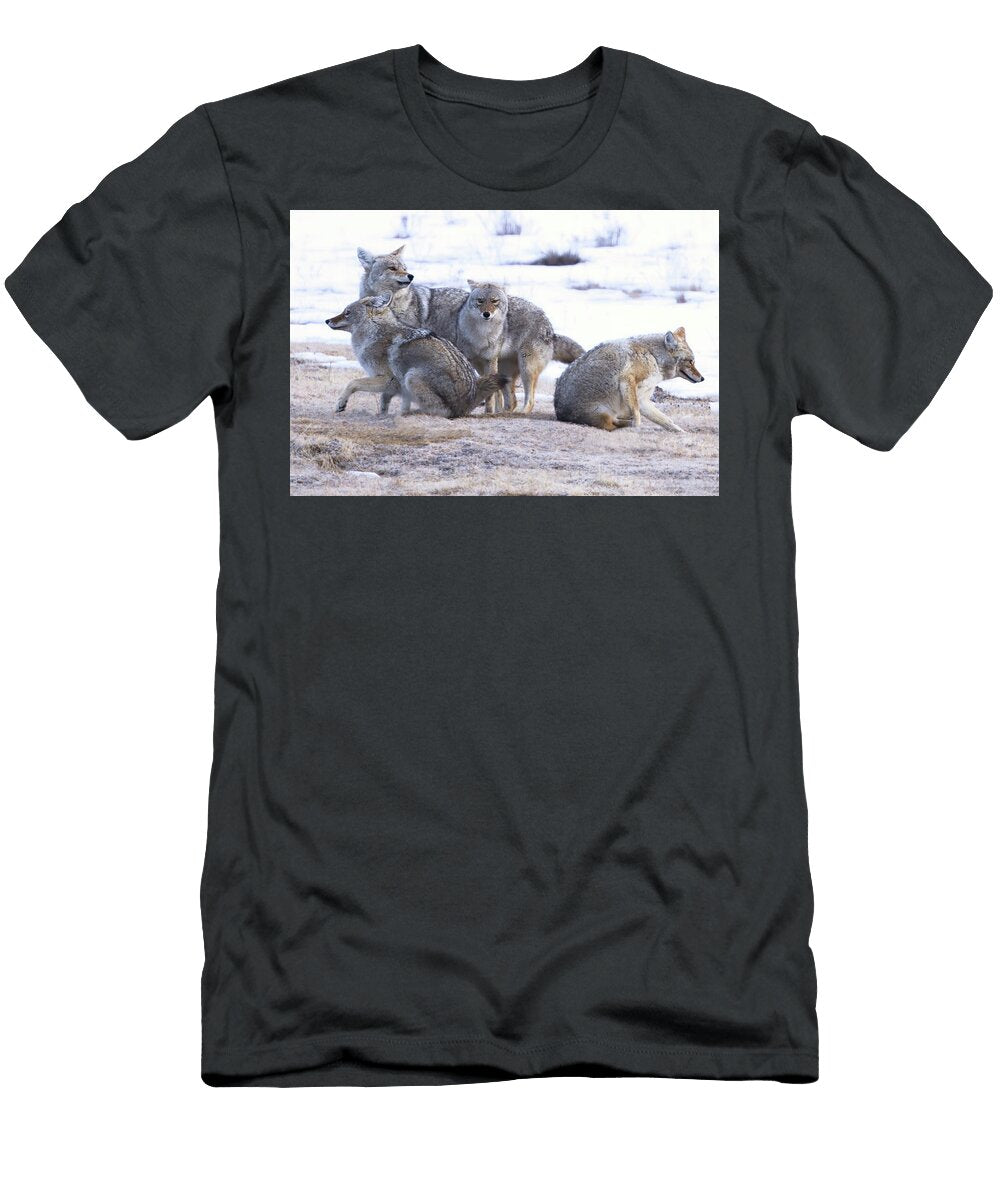 Yellowstone Coyotefamily in a Snowy Field Isabella Smedley Nature T-Shirt