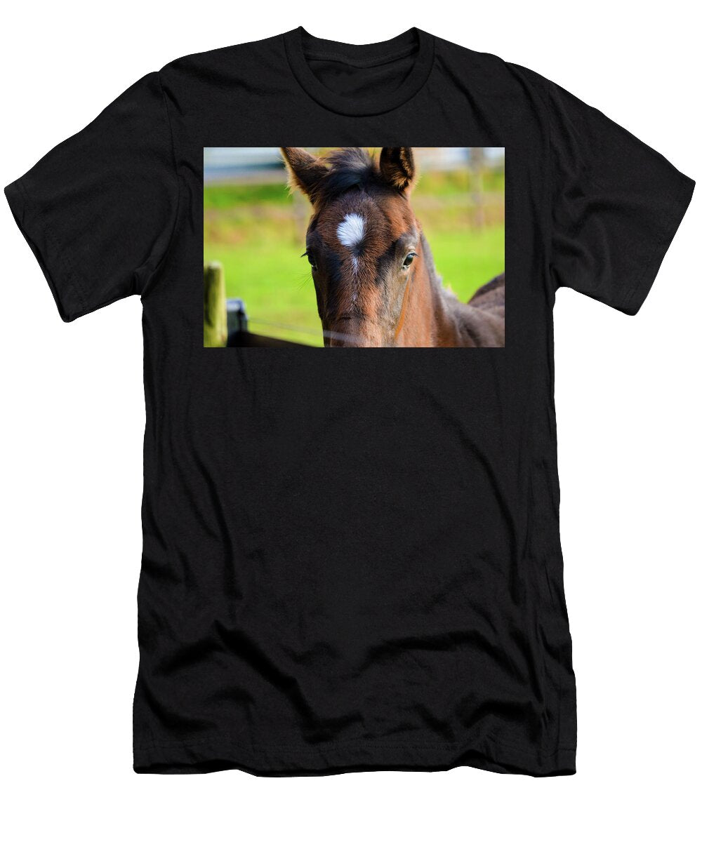 Young Brown Horse Closeup Johan Ferret T-Shirt