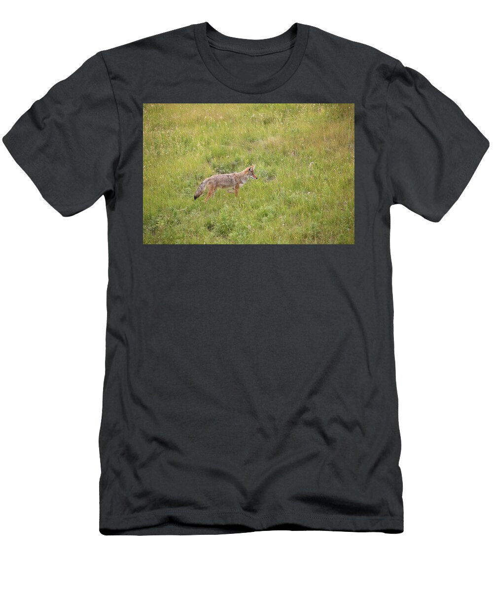 Young Coyote Hunting in Grassy Meadow George Erwin Turner T-Shirt