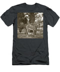 Young Donkey Asleep Under Its Mother Dave Shafer T-Shirt