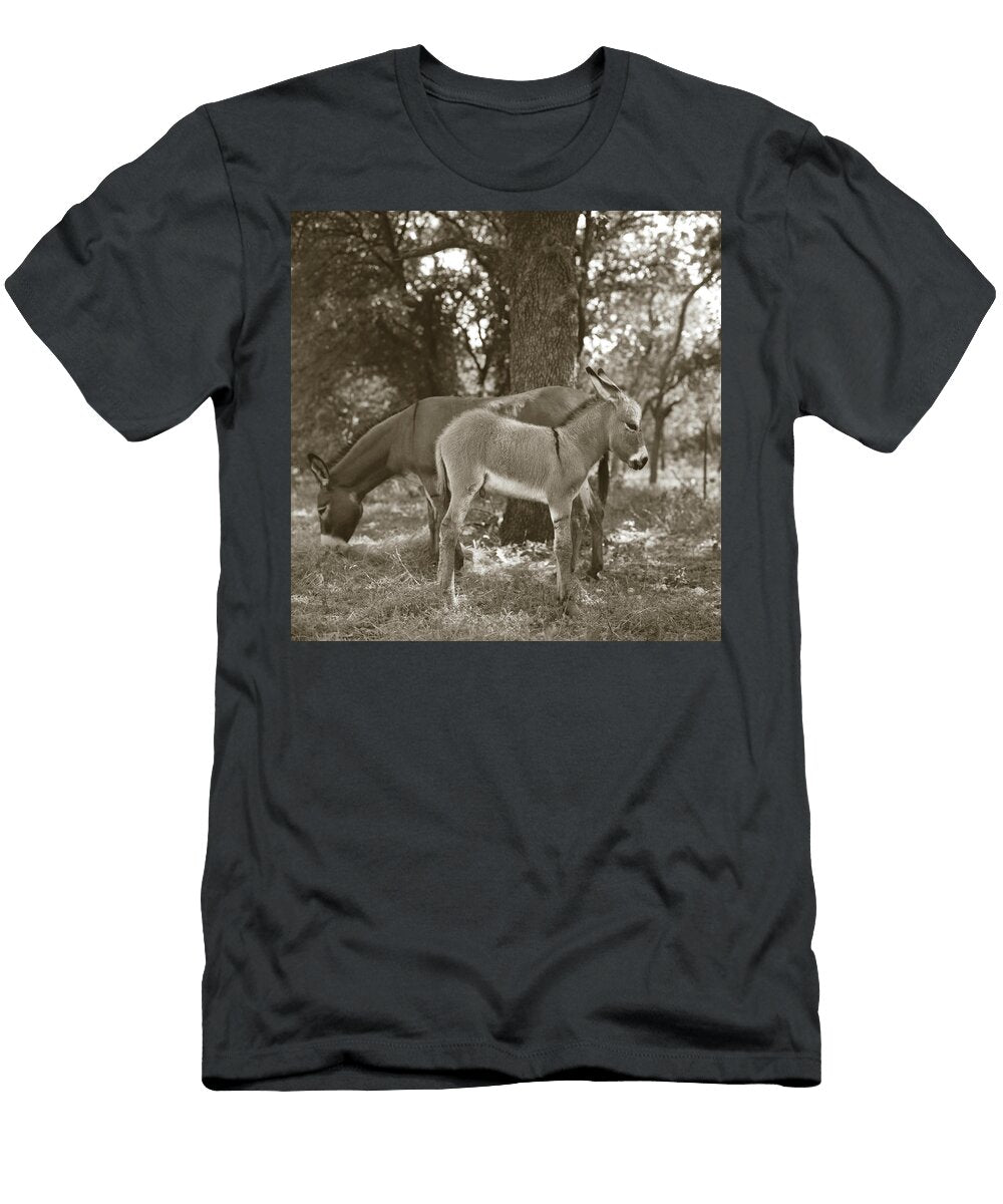 Young Donkey Asleep Under Its Mother Dave Shafer T-Shirt