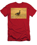 Young Mallard Duck Catherine Reusch Daley T-Shirt